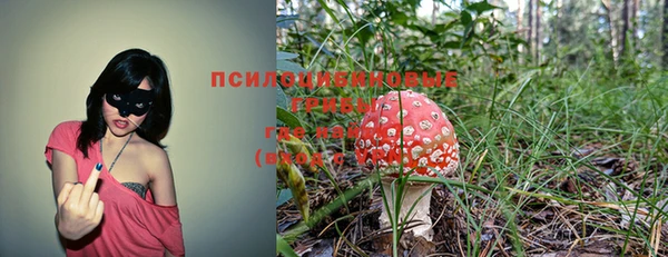 прущая мука Алзамай