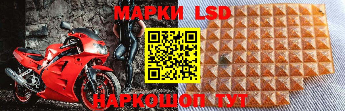 Наркотические марки 1500мкг  Наркотические марки 1500мкг  Вход с VPN  Марки 25I-NBOMe  Сосновый Бор 