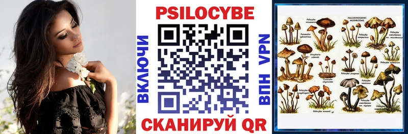 Галлюциногенные грибы Cubensis  Сосновый Бор 