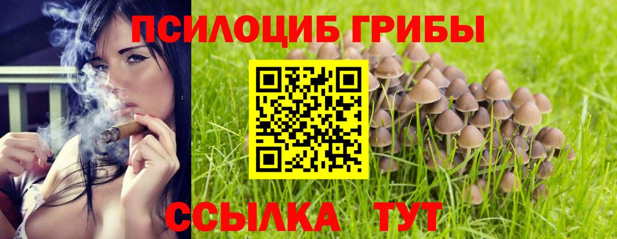 Псилоцибиновые грибы MAGIC MUSHROOMS Сосновый Бор