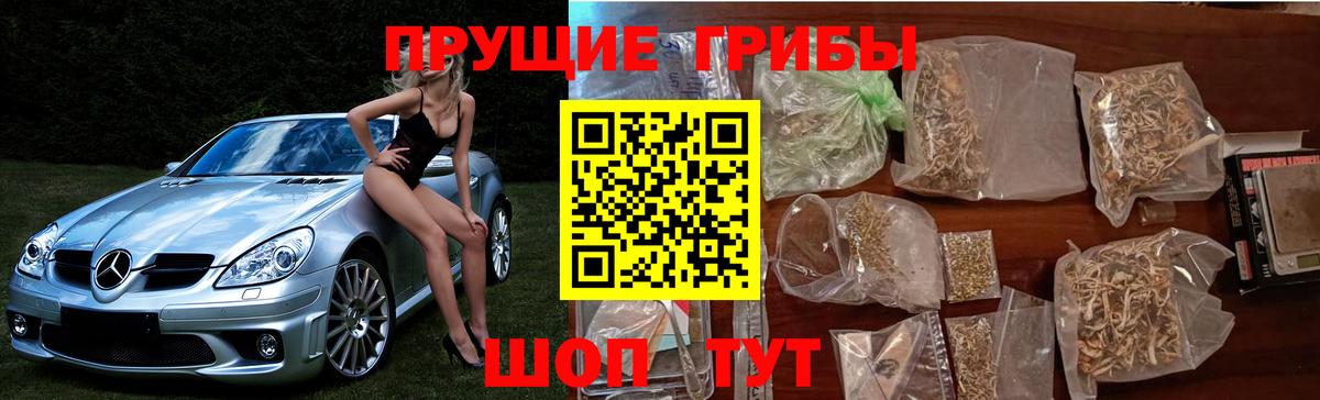 Сосновый Бор  Галлюциногенные грибы мухоморы  Вход с VPN 