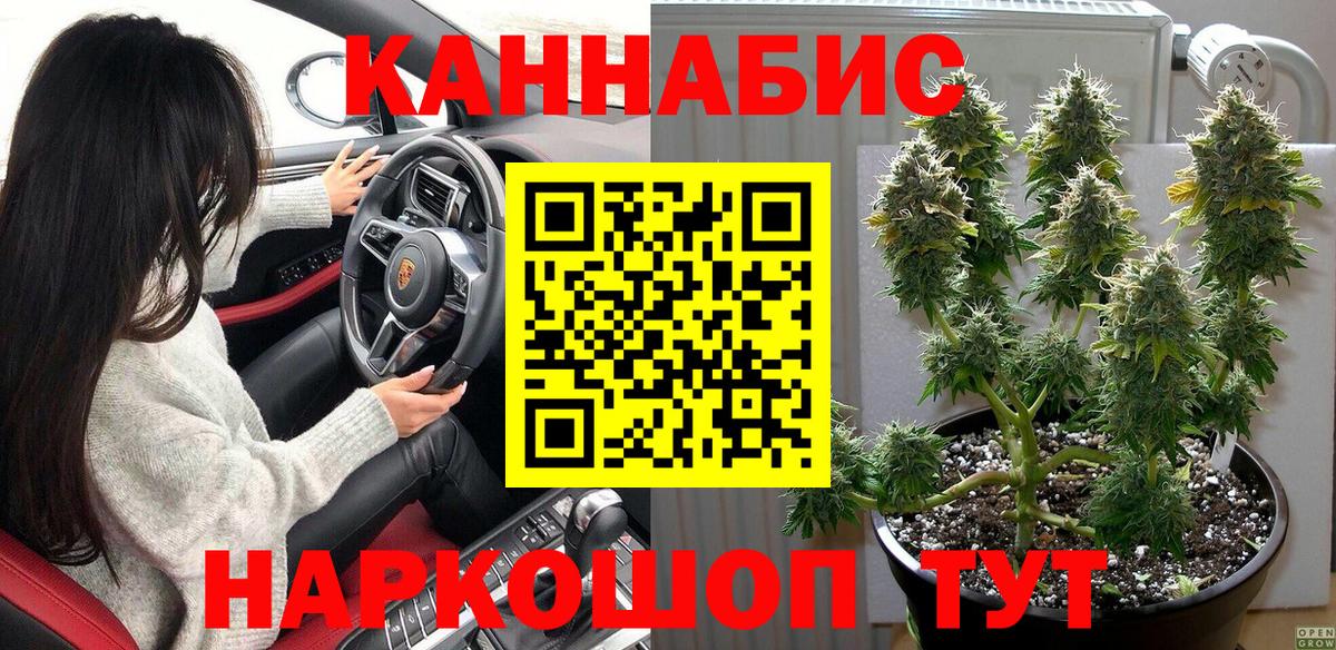 Кодеин Сосновый Бор