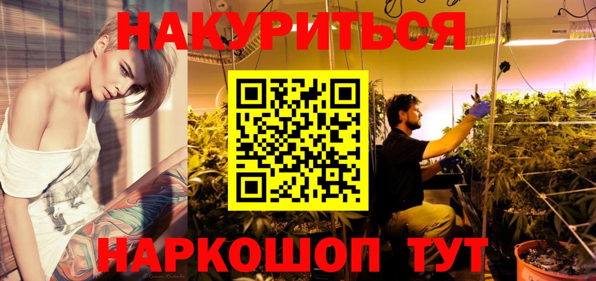 Бошки Шишки LSD WEED  Конопля тримм  Сосновый Бор  Вход с VPN  Каннабис гибрид 